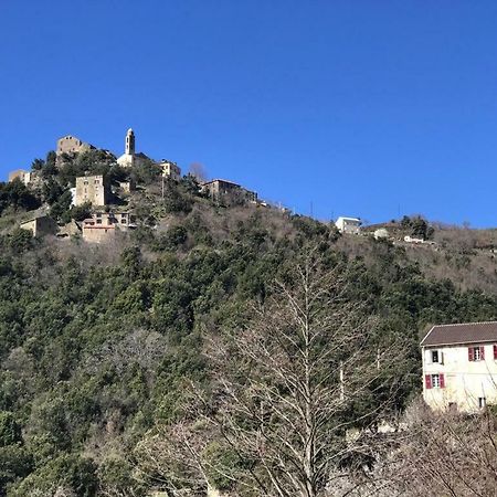 Camping L'Agrottu Au Coeur De La Corse Santa-Lucia-di-Mercurio Exteriér fotografie