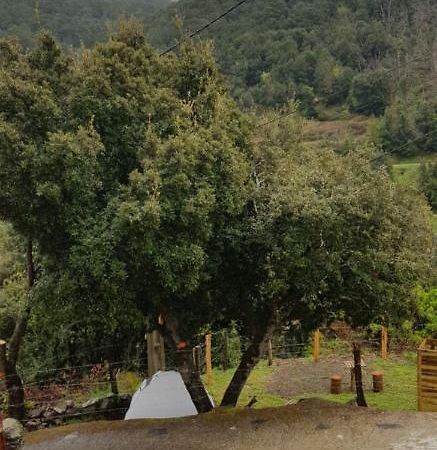 Camping L'Agrottu Au Coeur De La Corse Santa-Lucia-di-Mercurio Exteriér fotografie