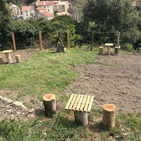 Camping L'Agrottu Au Coeur De La Corse Santa-Lucia-di-Mercurio Exteriér fotografie