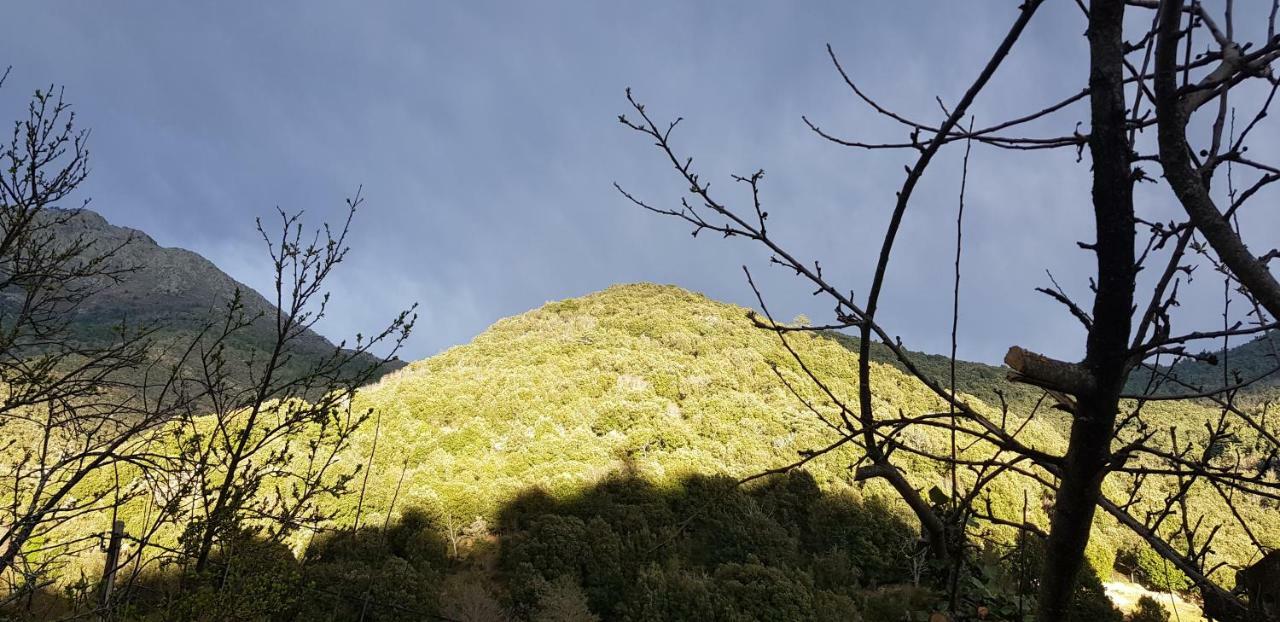 Camping L'Agrottu Au Coeur De La Corse Santa-Lucia-di-Mercurio Exteriér fotografie