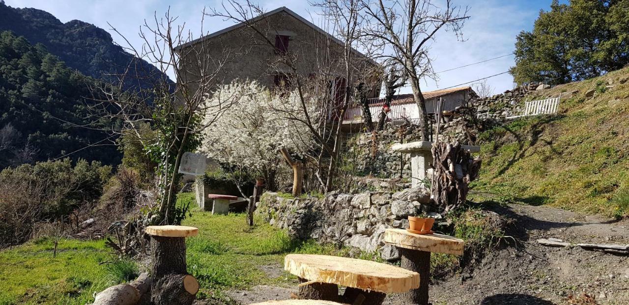 Camping L'Agrottu Au Coeur De La Corse Santa-Lucia-di-Mercurio Exteriér fotografie