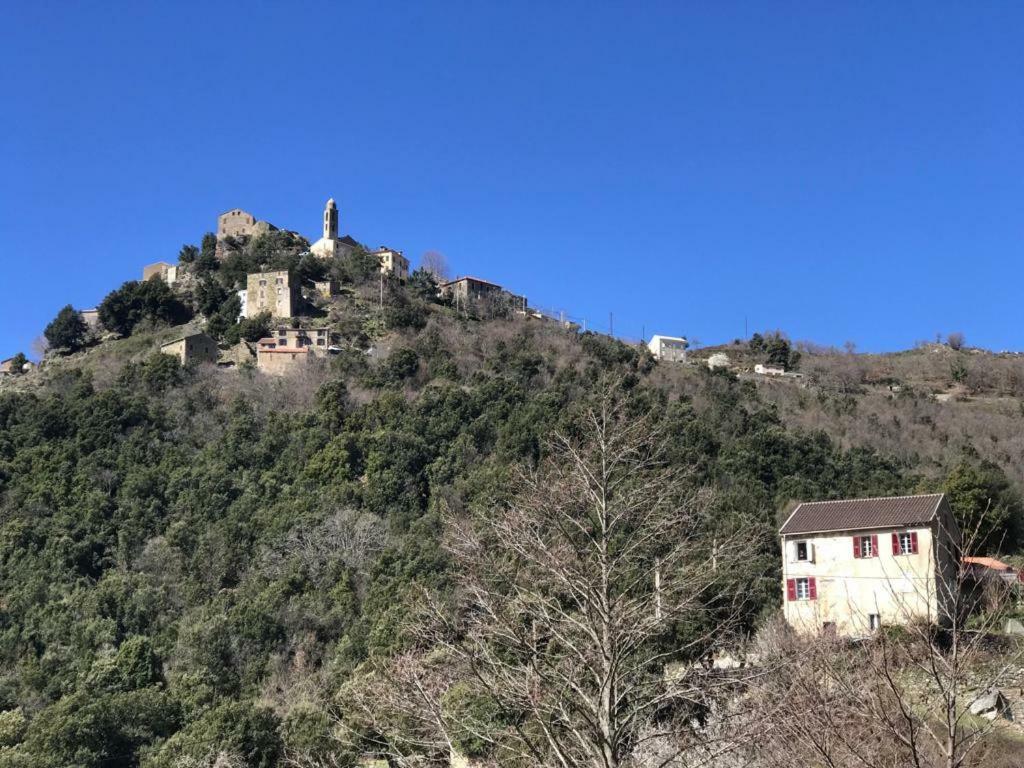 Camping L'Agrottu Au Coeur De La Corse Santa-Lucia-di-Mercurio Exteriér fotografie