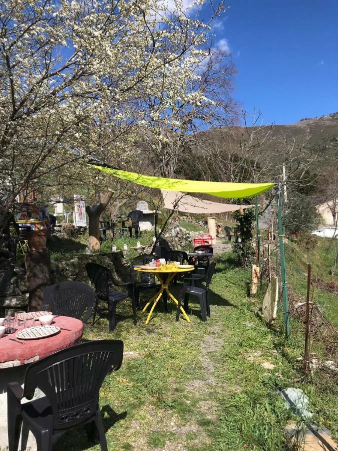 Camping L'Agrottu Au Coeur De La Corse Santa-Lucia-di-Mercurio Exteriér fotografie