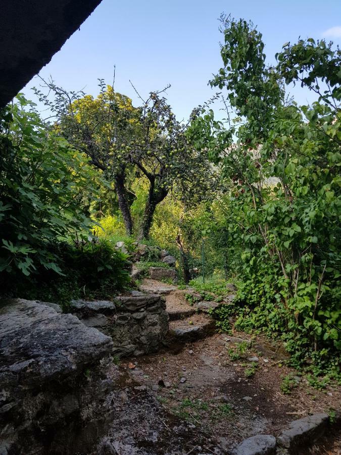 Camping L'Agrottu Au Coeur De La Corse Santa-Lucia-di-Mercurio Exteriér fotografie