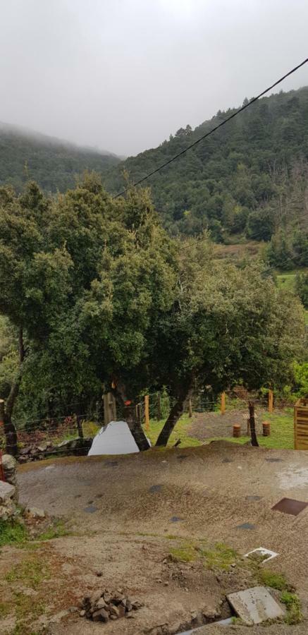 Camping L'Agrottu Au Coeur De La Corse Santa-Lucia-di-Mercurio Exteriér fotografie