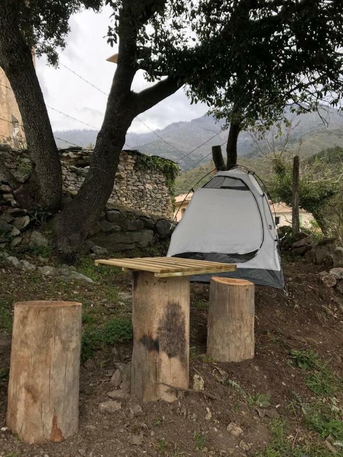 Camping L'Agrottu Au Coeur De La Corse Santa-Lucia-di-Mercurio Exteriér fotografie