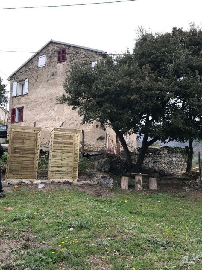 Camping L'Agrottu Au Coeur De La Corse Santa-Lucia-di-Mercurio Exteriér fotografie