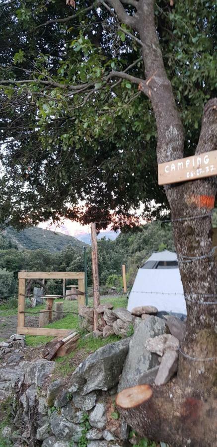 Camping L'Agrottu Au Coeur De La Corse Santa-Lucia-di-Mercurio Exteriér fotografie