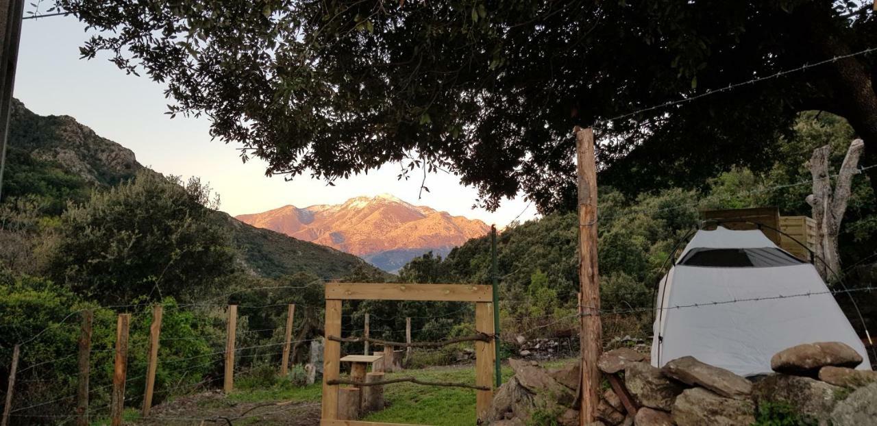 Camping L'Agrottu Au Coeur De La Corse Santa-Lucia-di-Mercurio Exteriér fotografie