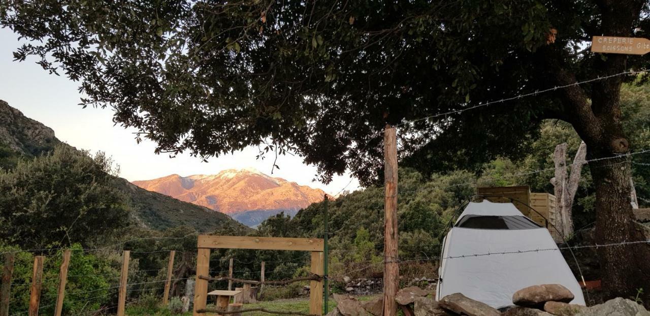 Camping L'Agrottu Au Coeur De La Corse Santa-Lucia-di-Mercurio Exteriér fotografie