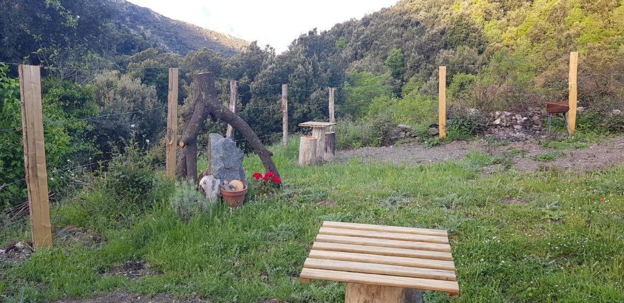 Camping L'Agrottu Au Coeur De La Corse Santa-Lucia-di-Mercurio Exteriér fotografie