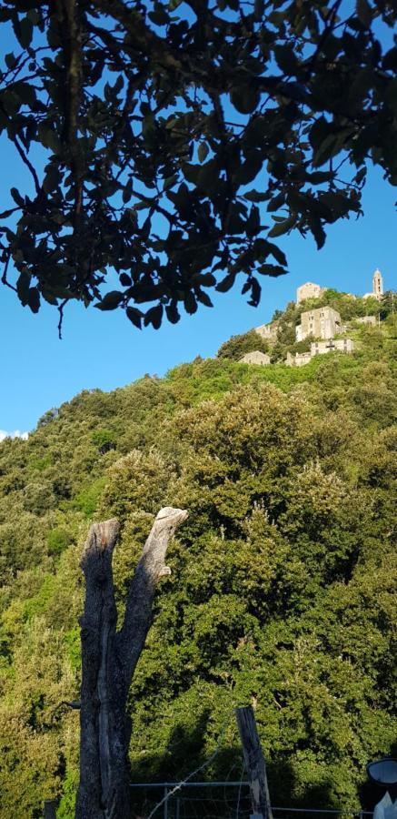 Camping L'Agrottu Au Coeur De La Corse Santa-Lucia-di-Mercurio Exteriér fotografie