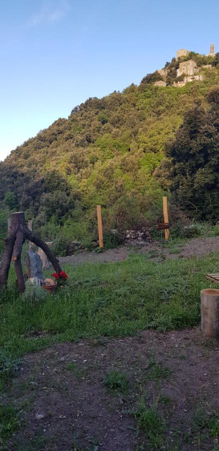 Camping L'Agrottu Au Coeur De La Corse Santa-Lucia-di-Mercurio Exteriér fotografie